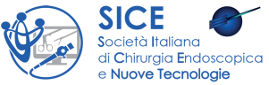 logo sice