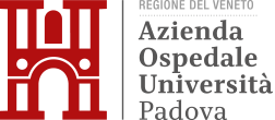 Collaborazione 6